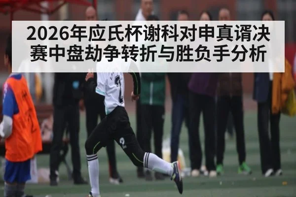 2026年应氏杯谢科对申真谞决赛中盘劫争转折与胜负手分析